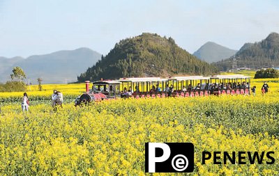 Emerging consumption trends propel growth of China