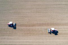 Spring farming in saline-alkali land boosts China's food security