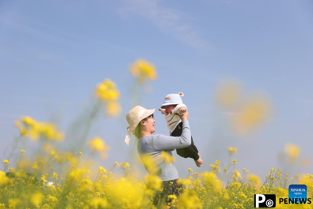 Tourists visit cole flower fields across China