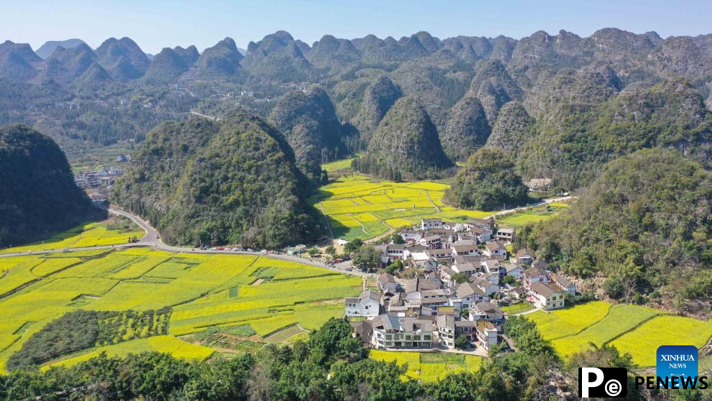 Tourists visit cole flower fields across China