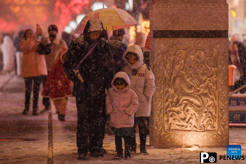 Snowfall hits Beijing