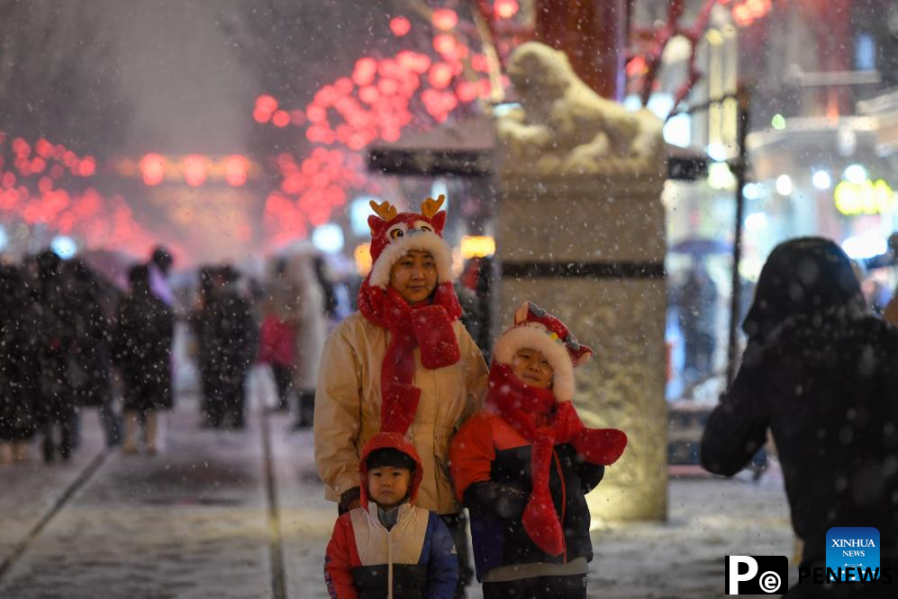 Snowfall hits Beijing