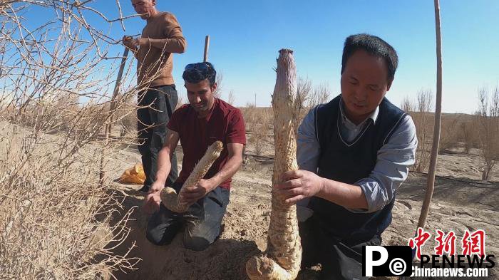 Desert county in NW China