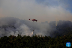 Over 2,300 people battling forest fire in southwest China