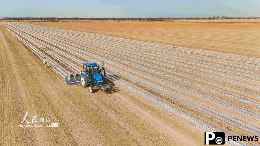 High-tech empowers sowing of corn in NW China's Xinjiang