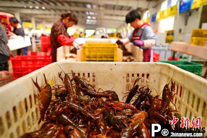 Co-culture of crayfish, aquatic species in Qianjiang, C China
