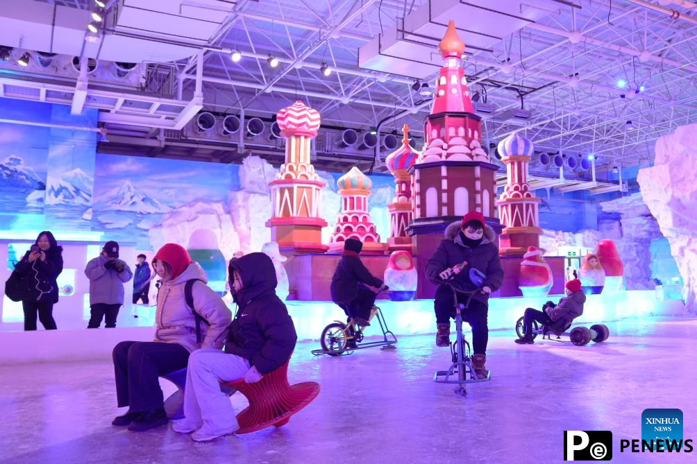 Ice and snow art gallery attracts tourists in Heilongjiang