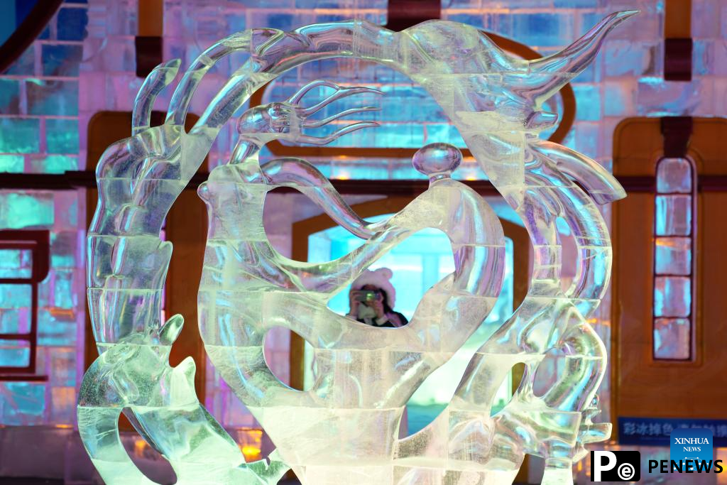 Ice and snow art gallery attracts tourists in Heilongjiang