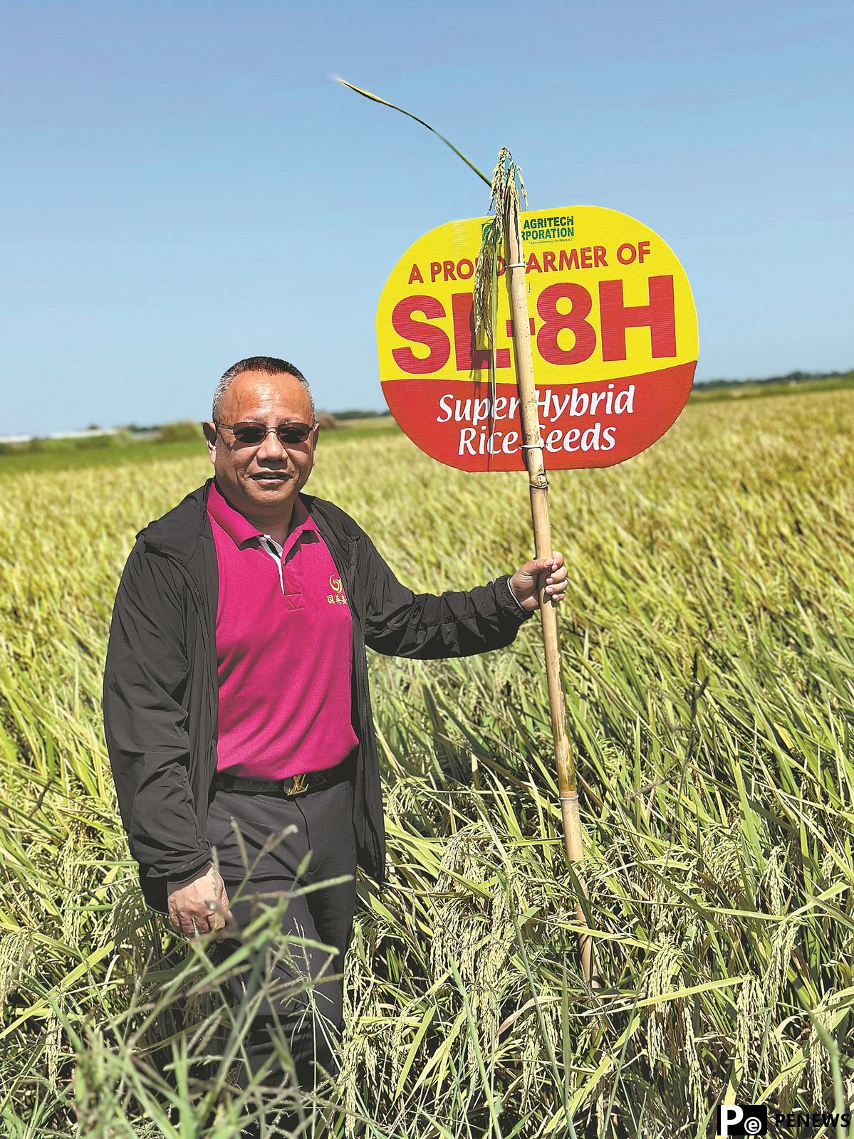 Hybrid rice market expands in Asia