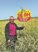 Hybrid rice market expands in Asia