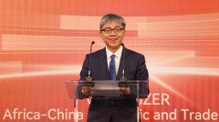 Job Fair 2024 of Chinese-Invested Enterprises in South Africa attract thousands of job seekers