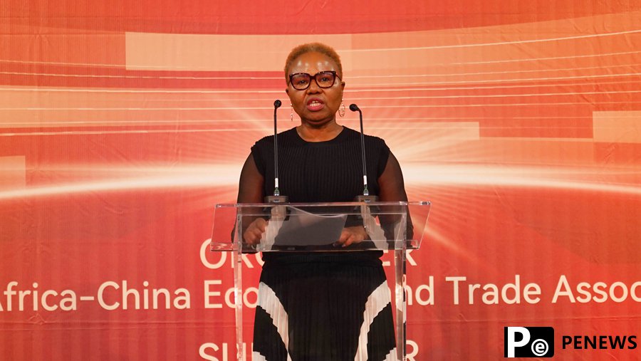 Job Fair 2024 of Chinese-Invested Enterprises in South Africa attract thousands of job seekers