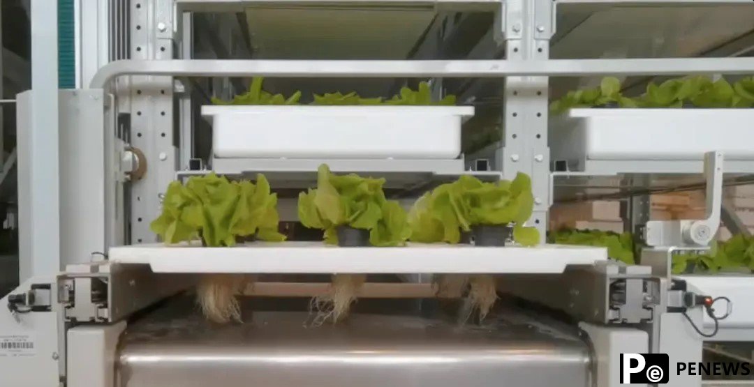 Unmanned "plant factory": production line of vegetables