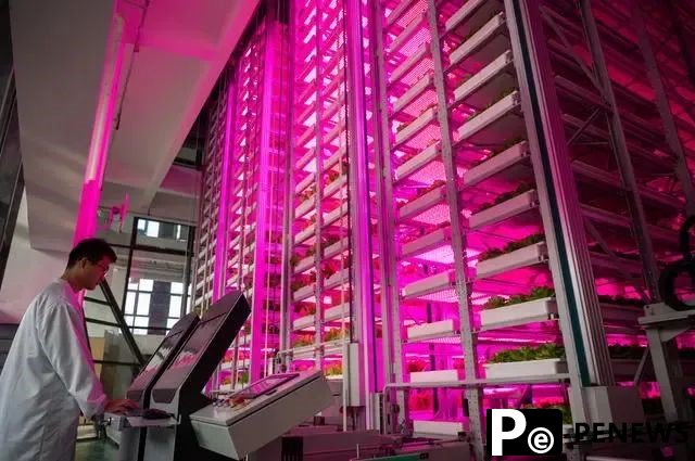 Unmanned "plant factory": production line of vegetables