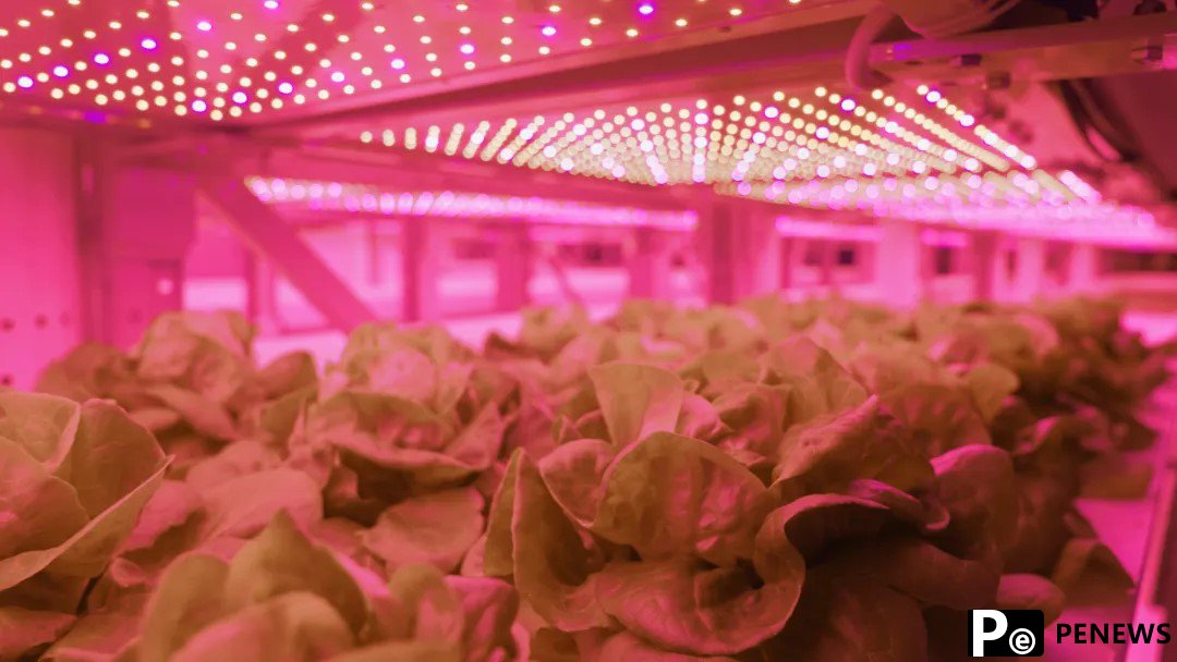 Unmanned "plant factory": production line of vegetables