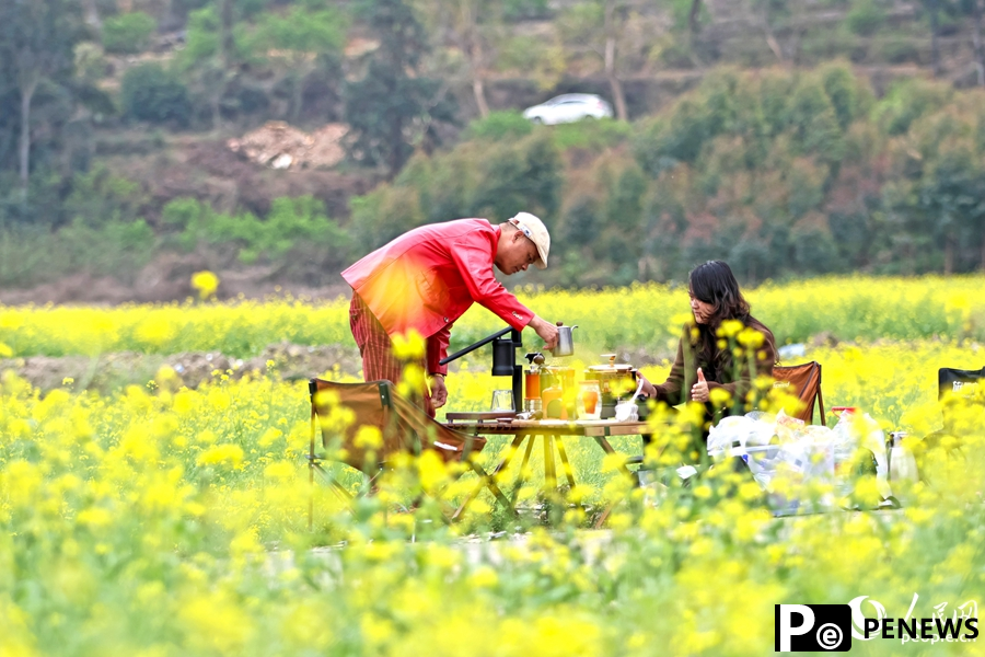 In pics: rapeseed flowers in full bloom in village in SE China