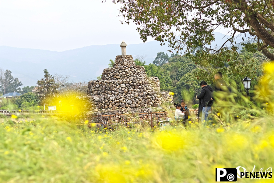 In pics: rapeseed flowers in full bloom in village in SE China