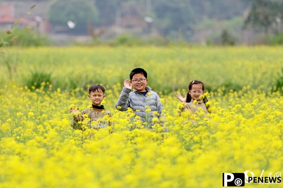 In pics: rapeseed flowers in full bloom in village in SE China