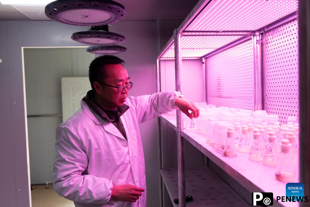 Complete research system with multitude functions created at botanic garden in Yunnan