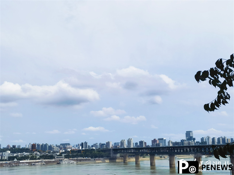 Discover beauty of Wuhan through bridges