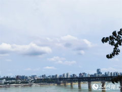 Discover beauty of Wuhan through bridges