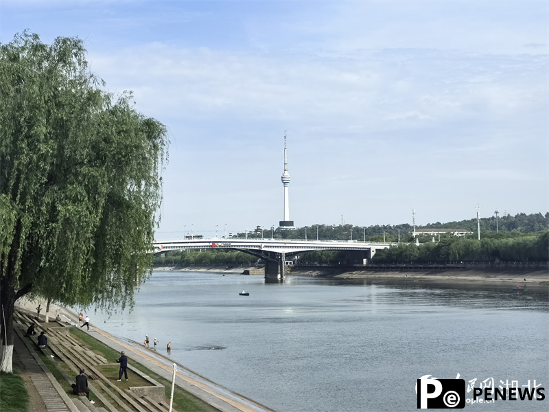 Discover beauty of Wuhan through bridges