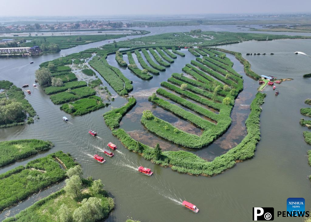 Water quality of Baiyangdian Lake in north China improves after protection activities