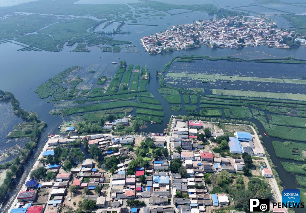 Water quality of Baiyangdian Lake in north China improves after protection activities