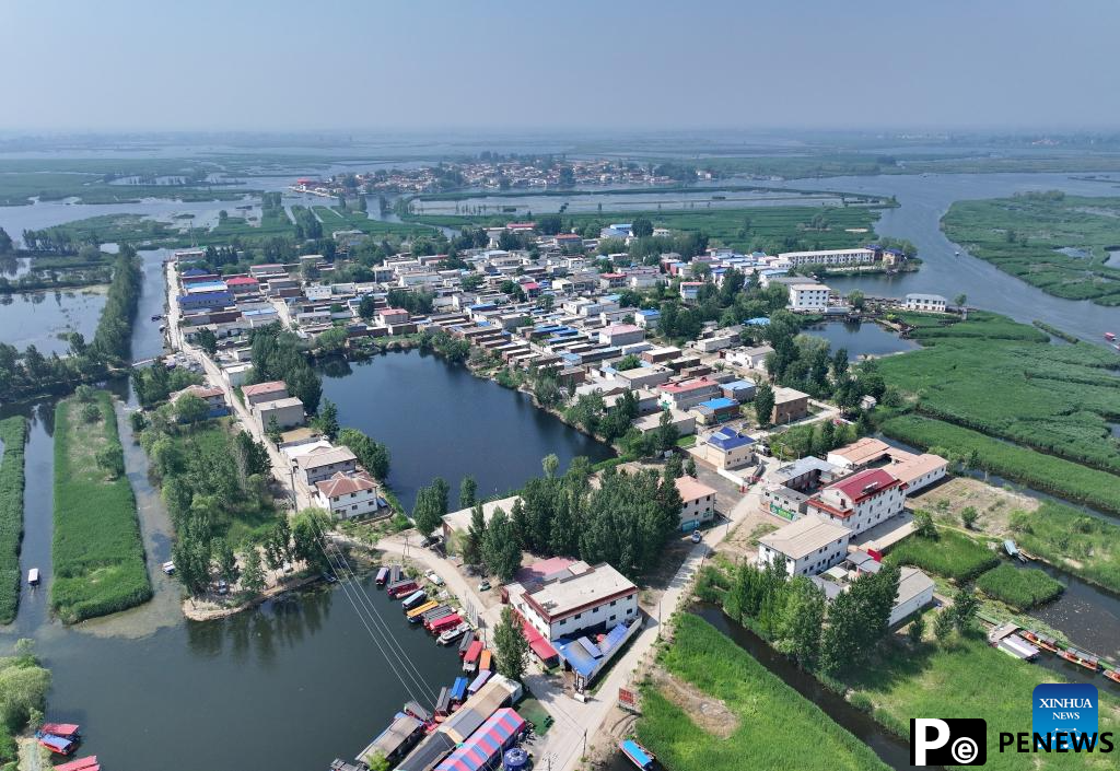 Water quality of Baiyangdian Lake in north China improves after protection activities