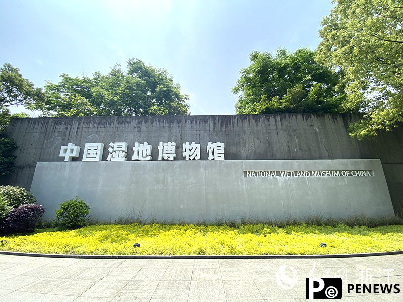 National Wetland Museum reopens with expanded exhibits in E China's Hangzhou