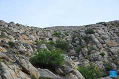 In pics: Great Wall in Guyang County, N China