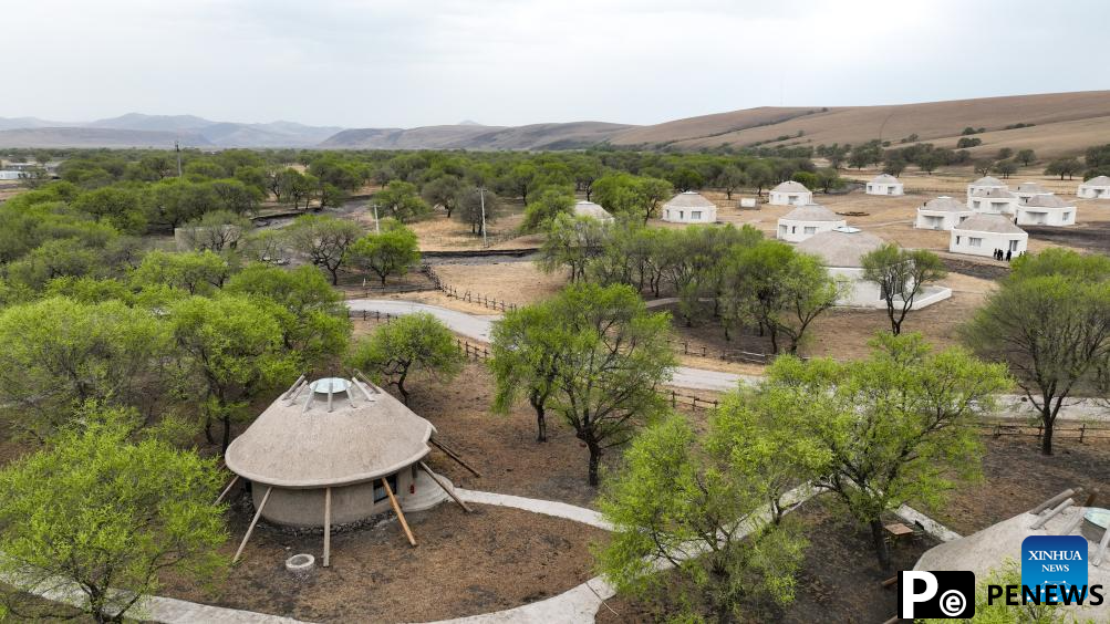 Grassland homestay cluster becomes driving force for development of grassland tourism in Inner Mongolia