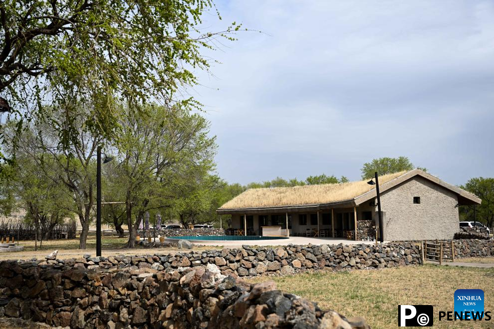 Grassland homestay cluster becomes driving force for development of grassland tourism in Inner Mongolia