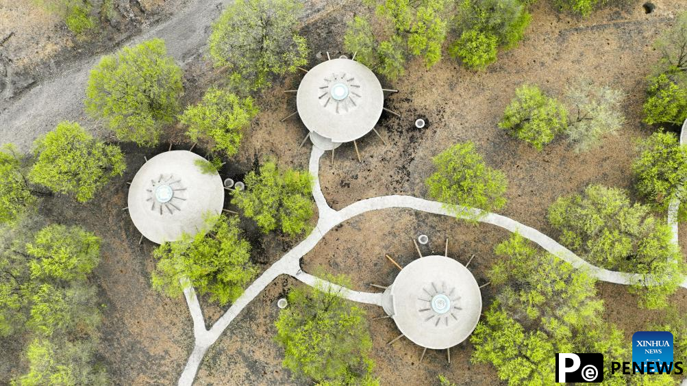 Grassland homestay cluster becomes driving force for development of grassland tourism in Inner Mongolia