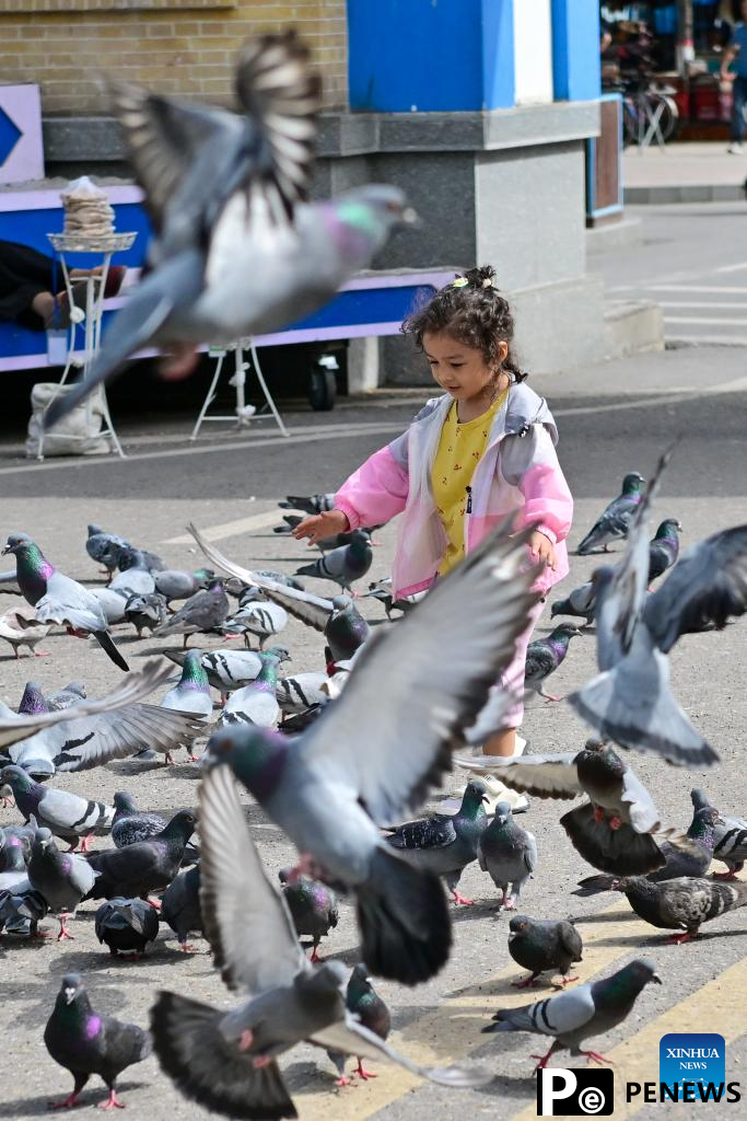 Xinjiang attracts tourists during summer