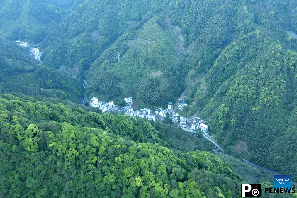 Primate research team of Anhui University protects unique species in Huangshan