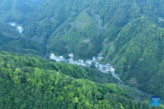 Primate research team of Anhui University protects unique species in Huangshan