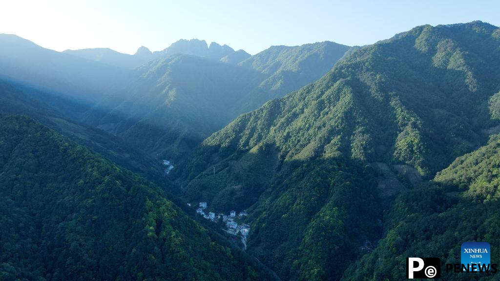 Primate research team of Anhui University protects unique species in Huangshan