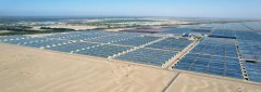 Chinese scientists succeed in speed rice breeding in desert greenhouses