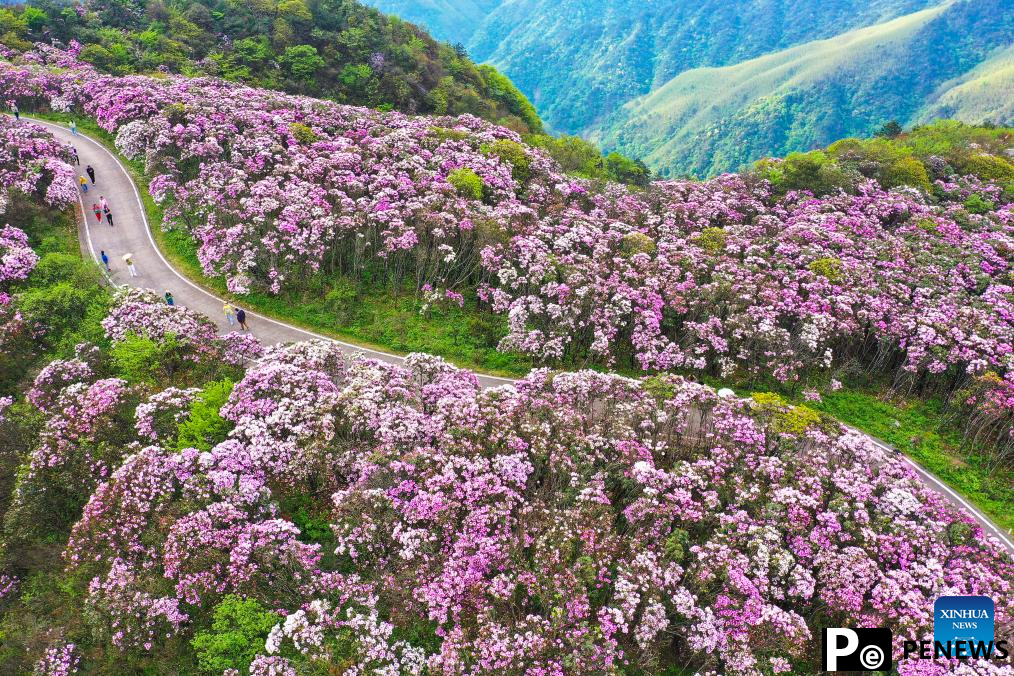 Amazing spring scenery across China