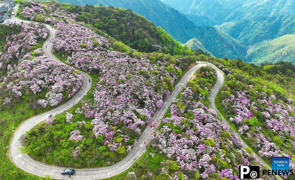 Amazing spring scenery across China