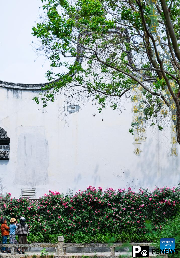 Revitalized Yuehe historical area becomes tourist attraction in Jiaxing, E China
