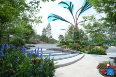 International Horticultural Exhibition 2024 Chengdu kicks off