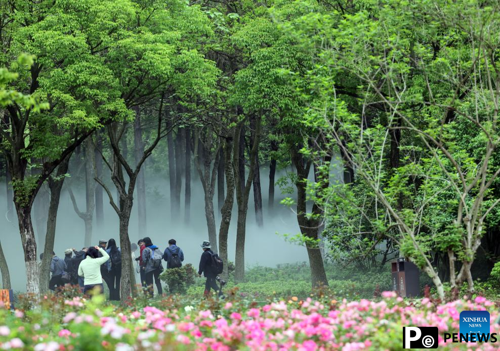 Jiaxing Botanical Garden completes new round of renovation in E China