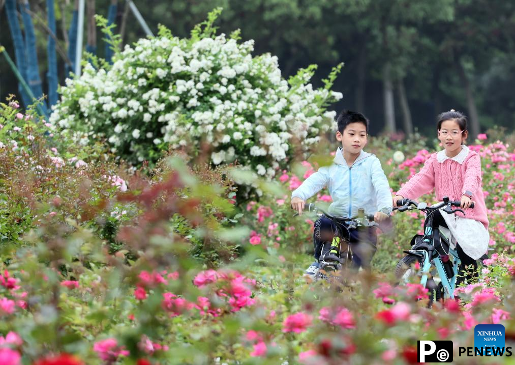 Jiaxing Botanical Garden completes new round of renovation in E China