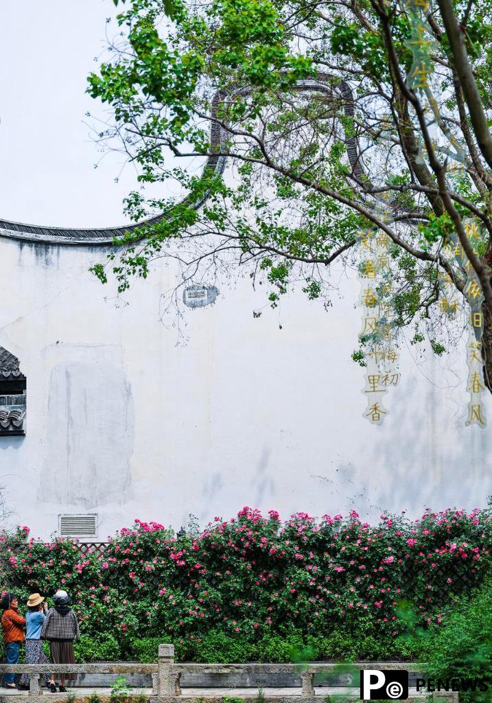 Ancient water town puts on new look to welcome tourists in E China