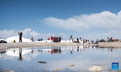 Xizang reaches trade milestone, showcasing progress in high-level opening up