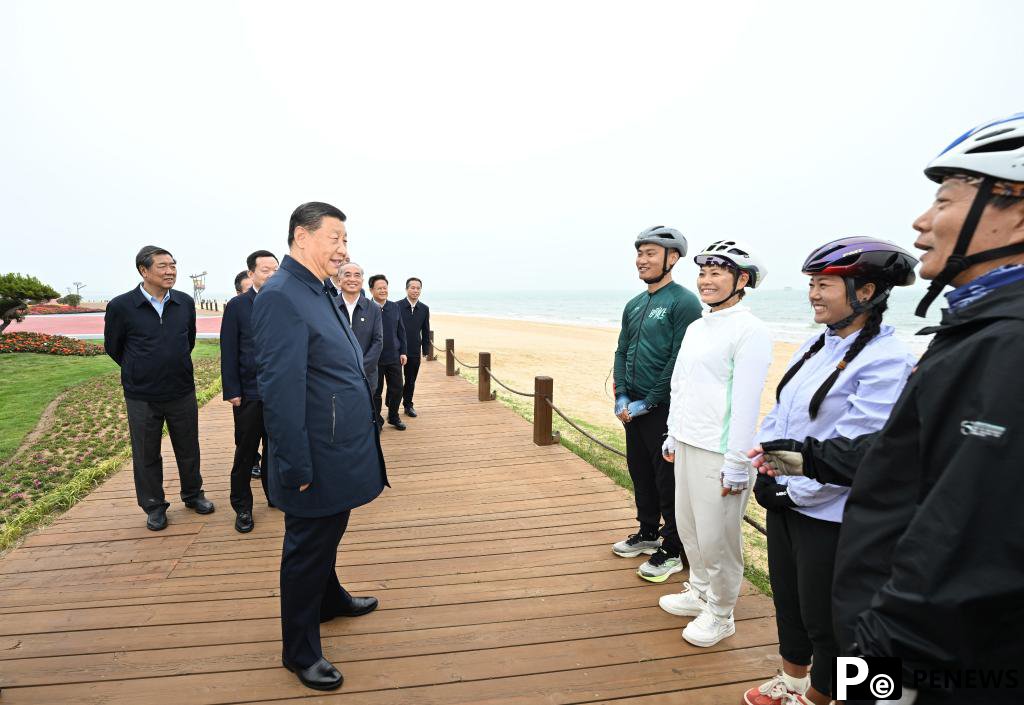 Xi calls for furthering reform to power modernization in Shandong inspection