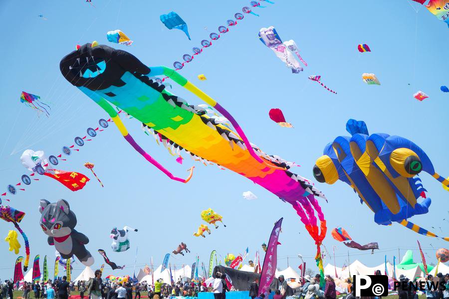 Annual kite gala kicks off in E China