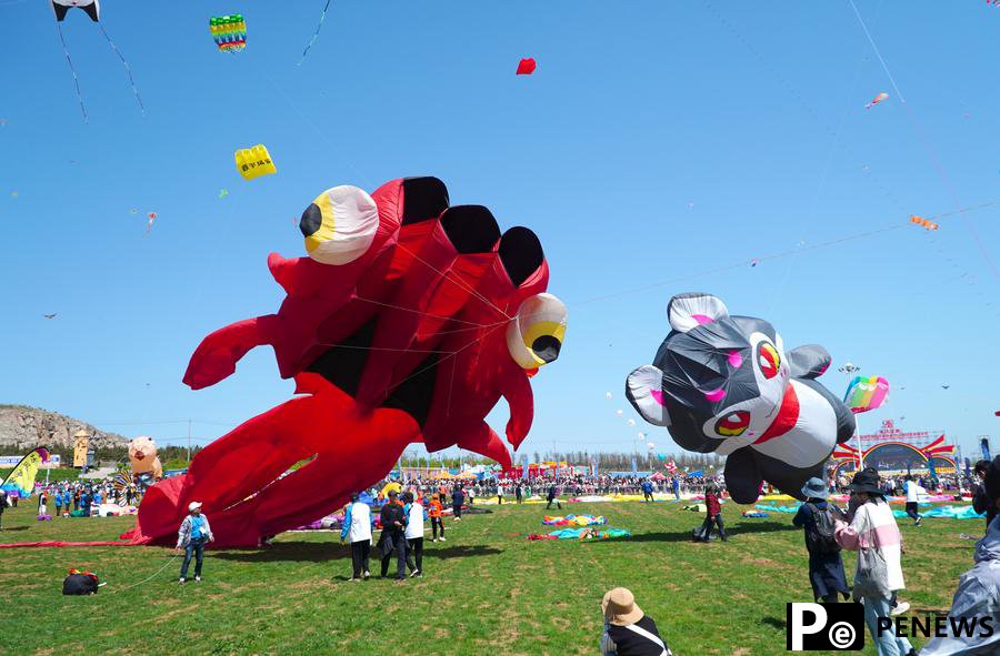 Annual kite gala kicks off in E China